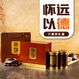 S031/2023 Virtue Beyond Horizons Liubao Tea Gift Set (400g per Gift Box - 2 × 200g)